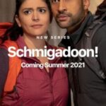 Шмигадун! Постер