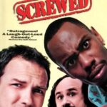 История Одного Похищения Постер