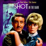 Выстрел В Темноте Постер