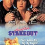 Слежка 2: Снова В Засаде Постер