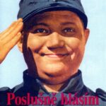 Швейк На Фронте Постер